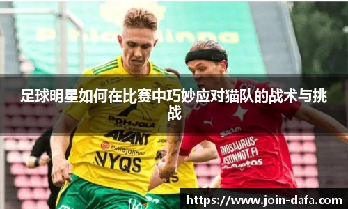 足球明星如何在比赛中巧妙应对猫队的战术与挑战